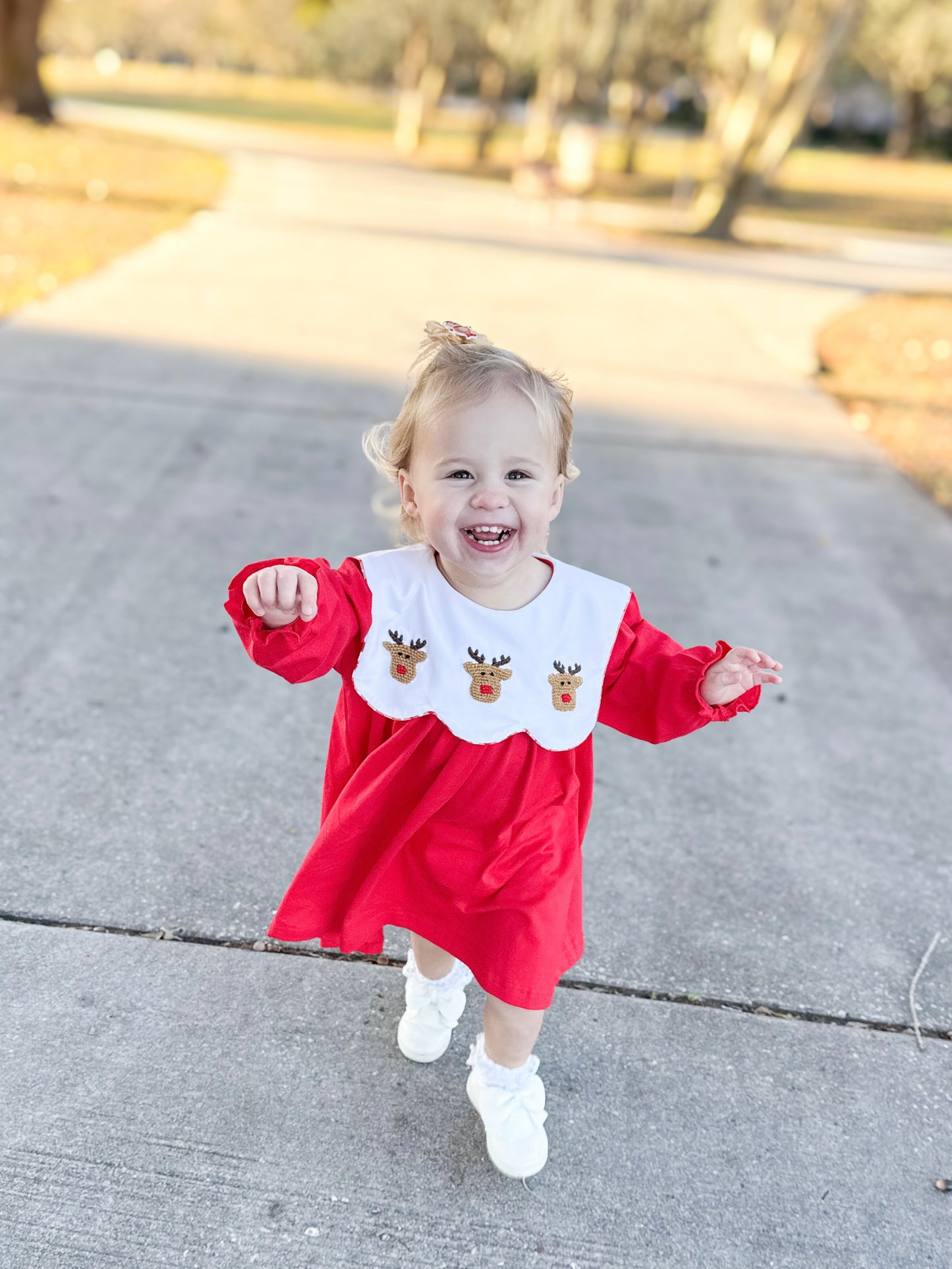 Reindeer French Knot Dress